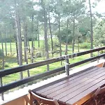 Amazing View