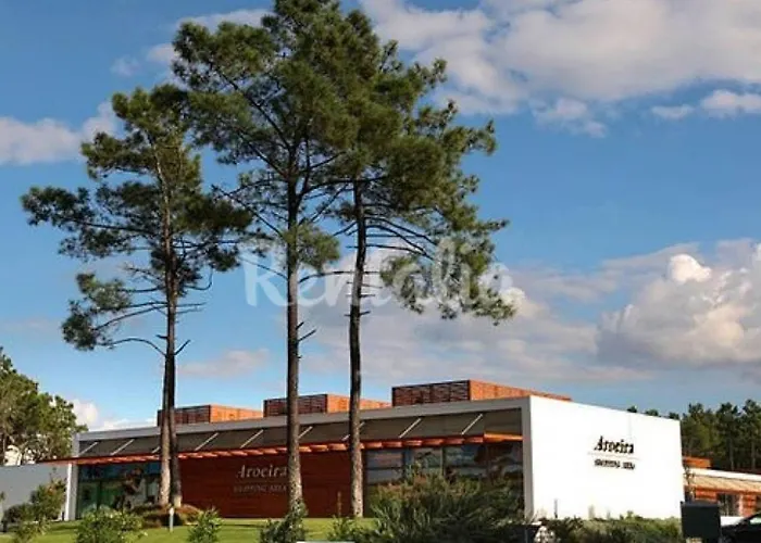 Apartment Amazing View