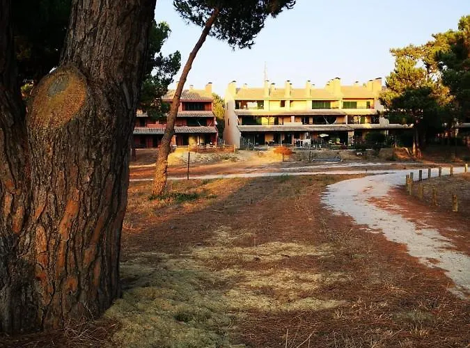 Amazing View Apartment Charneca (Setubal)